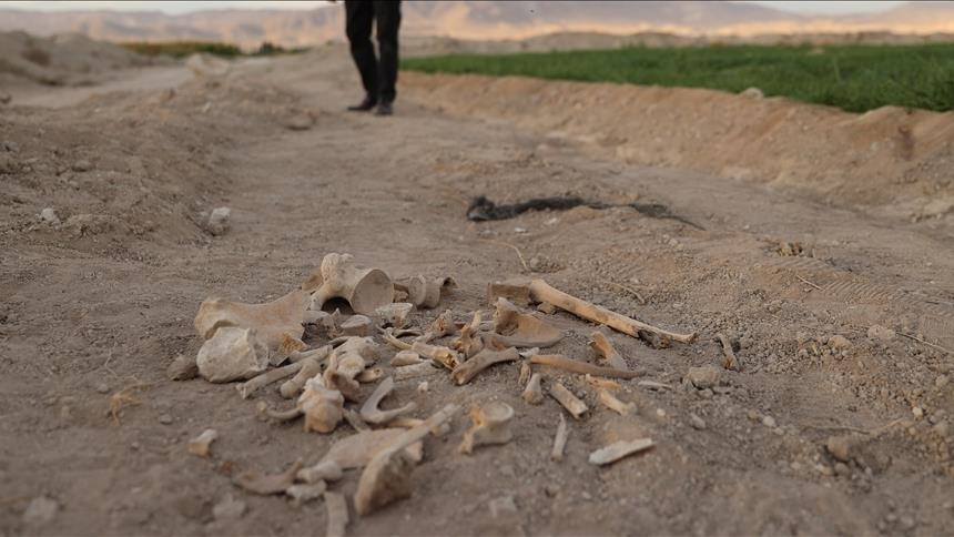 autoritetet-siriane-zbulojne-4-varre-masive-ne-veri-te-homsit