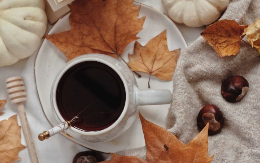 caji-i-geshtenjave,-kura-natyrale-kunder-kolles-se-vazhdueshme