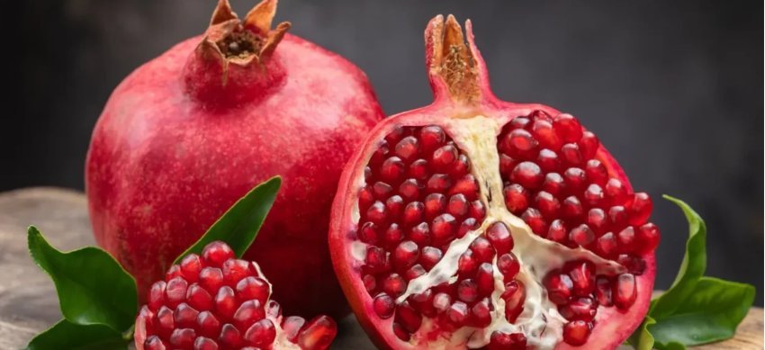 shega,-nje-frut-qe-vjen-me-plot-perfitime-shendetesore