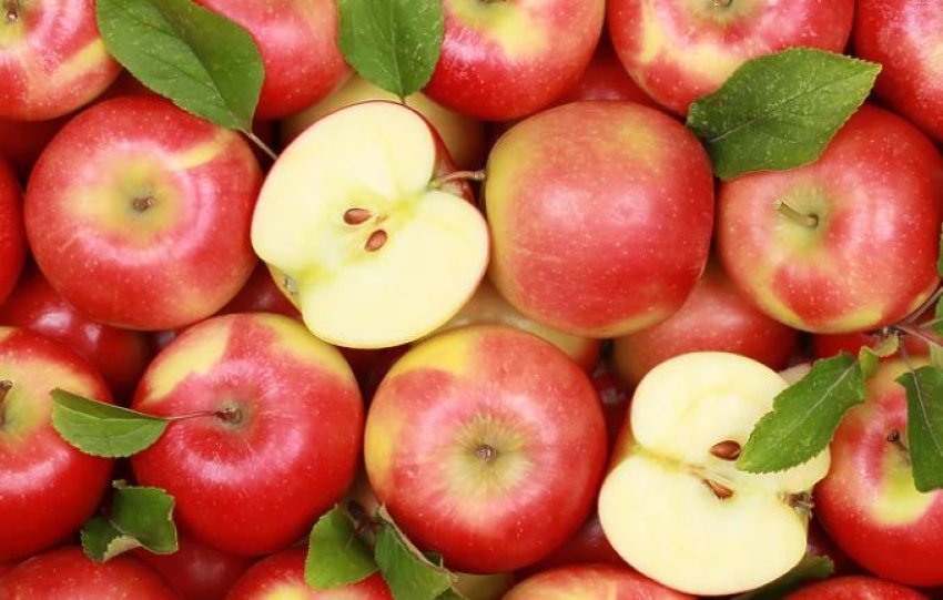 kur-eshte-momenti-me-i-pershtatshem-per-te-konsumuar-molle-gjate-dites