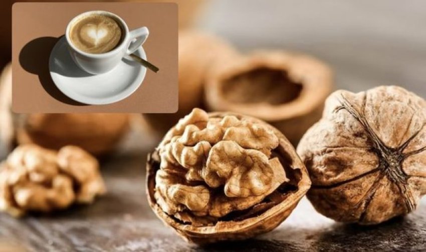 “scitechdaily”:-arra-dhe-kafeja-rrisin-vigjilencen-e-trurit