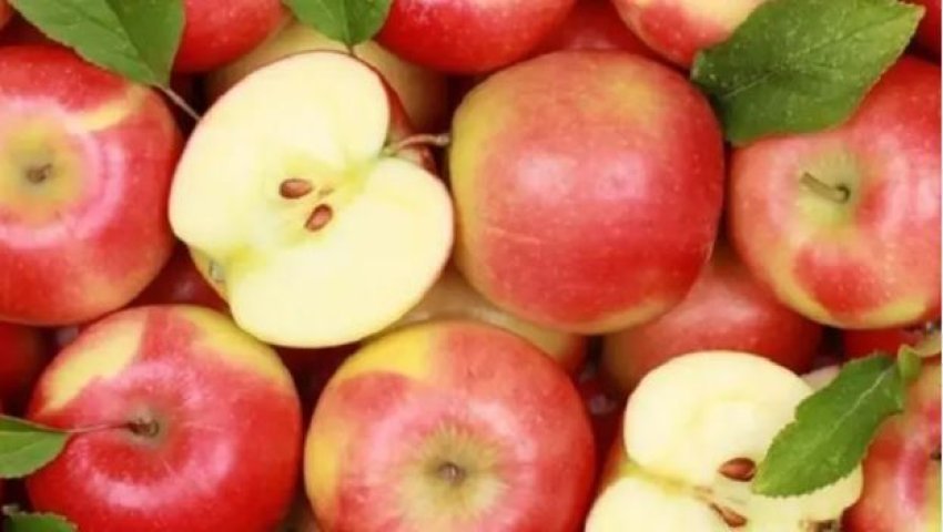 hani-molla-cdo-dite-dhe-do-t’i-shihni-rezultatet