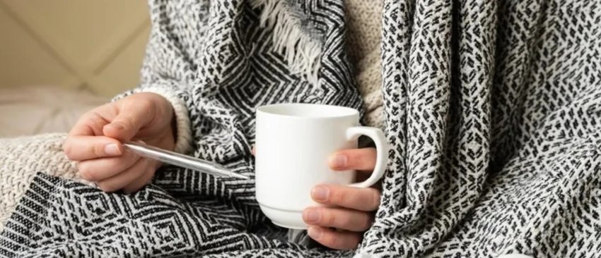 si-na-mbron-temperatura-e-larte?-ja-si-trupi-perdor-nxehtesine-per-te-luftuar-viruset