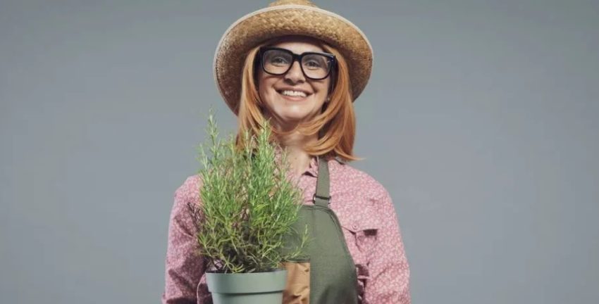 semundja-e-alzheimerit,-bima-aromatike-qe-permireson-kujtesen-dhe-lufton-inflamacionin