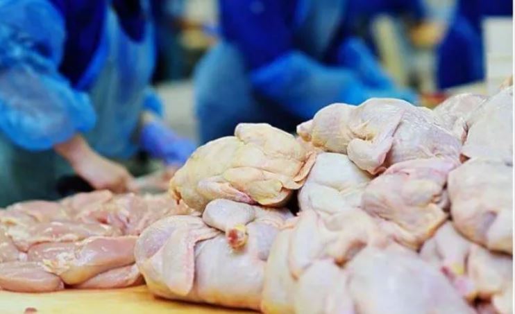 auv-asgjeson-19200-kg-mish-pule-te-importuar-nga-polonia