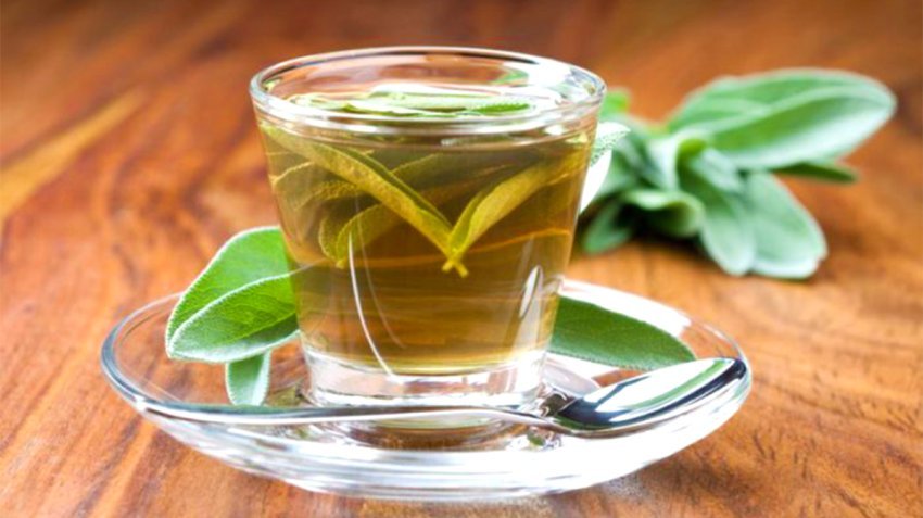 sherebele-dhe-limon,-receta-ideale-per-pastrimin-e-organizmit