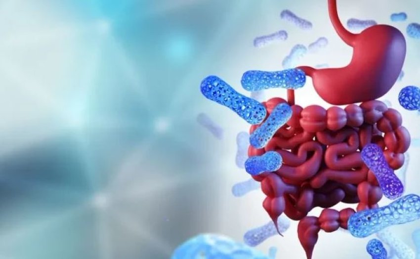 lodhje-dhe-rraskapitje-e-pashpjegueshme:-shkaku-mund-te-jete-stomaku-qe-ju-shteron-energjine