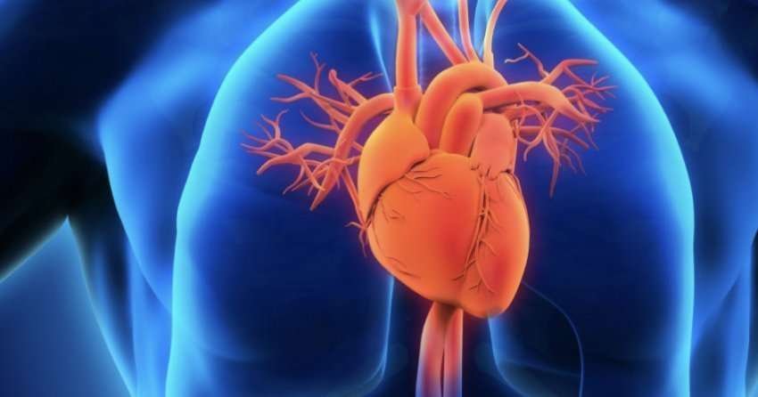 ​20%-e-adoleshenteve-nuk-luajne-kurre-sporte,-rrezikohen-nga-kanceri-dhe-semundjet-e-zemres