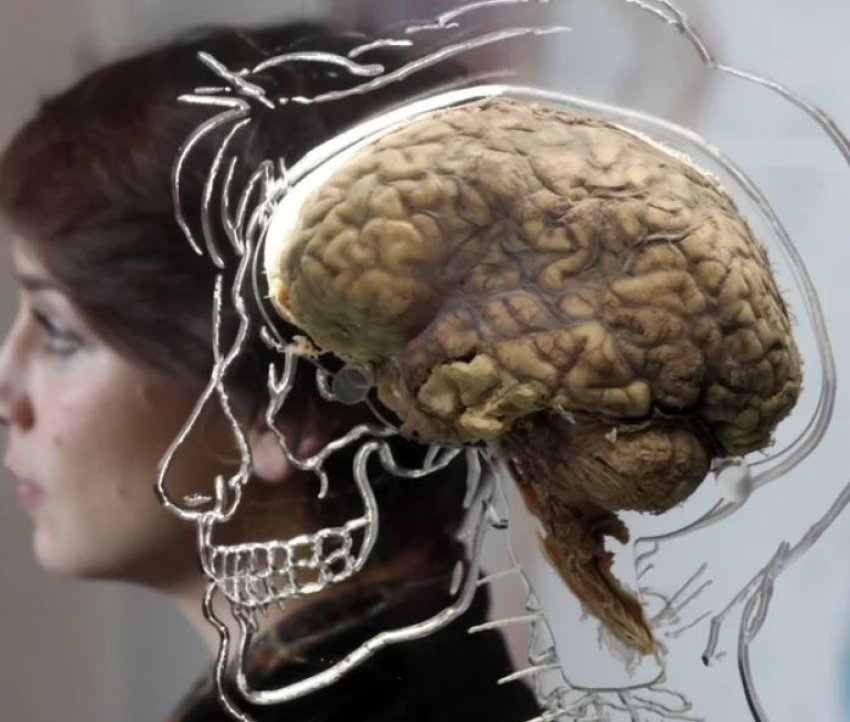 shkenca-flet:-truri-nuk-piqet-plotesisht-para-moshes-32-vjec