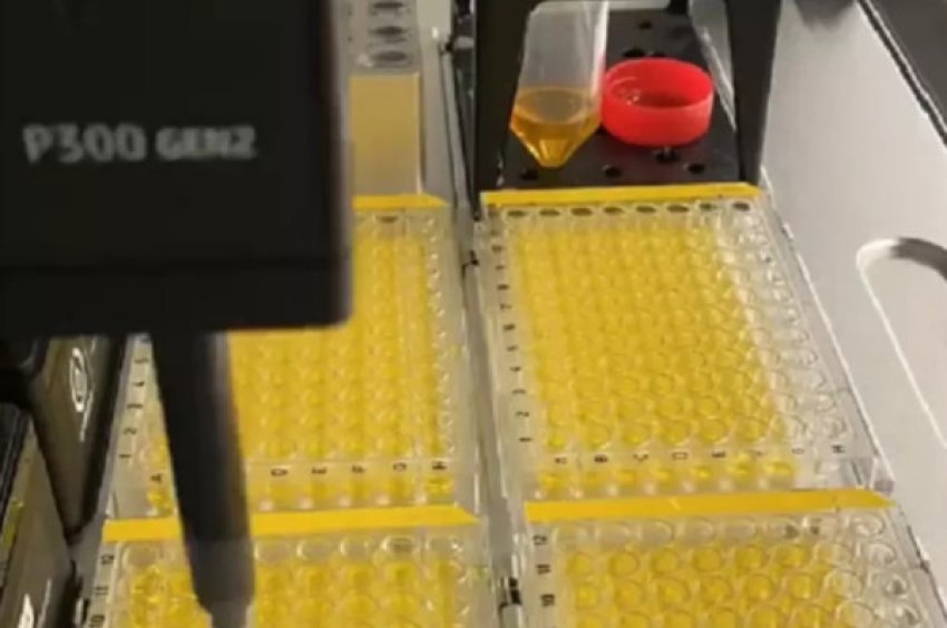 ​nje-sistem-robotik-eshte-gati-per-te-identifikuar-antibiotike-te-rinj