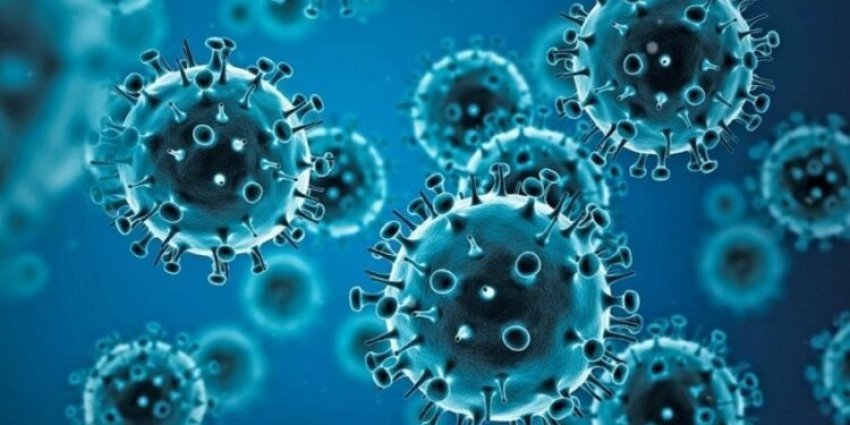 gripi-vdekjeprures,-pse-kete-vit-eshte-kaq-i-rende?