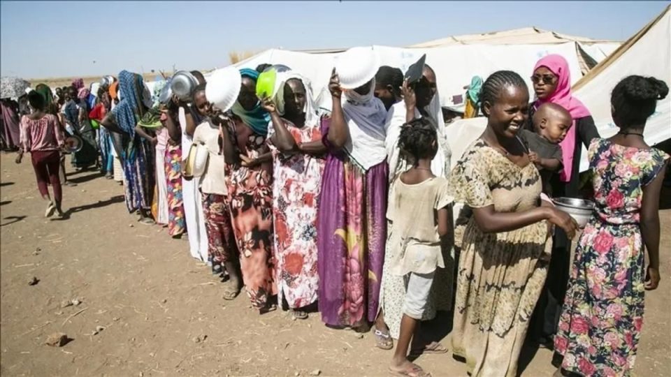 mjeket-sudaneze-raportojne-1.300-raste-kequshqyerjeje-ne-kordofan-pas-rrethimit-te-zgjatur-nga-rsf