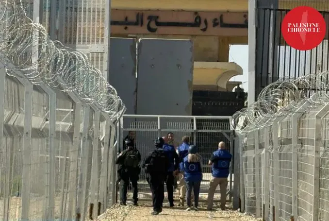 dy-palestineze-te-vrare-ne-gaza-ndersa-kalimi-rafah-rihapet-nen-kontroll-te-rrepte-izraelit