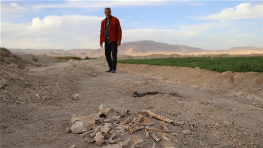 zbulohet-nje-varr-masiv-ne-kryeqytetin-sirian-damask