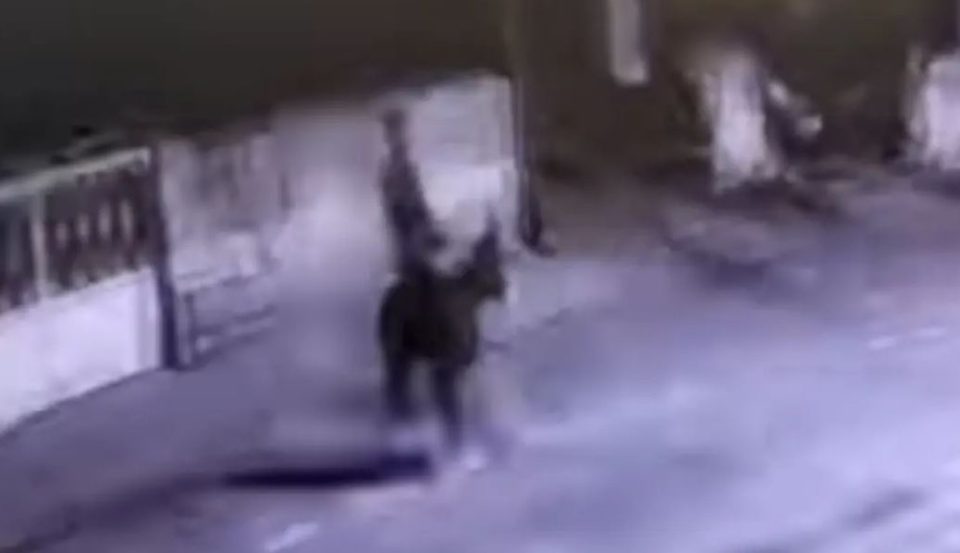 video/-e-pazakonte-ne-turqi,-hajduti-grabit-argjendarine-dhe-arratiset-me…-gomar!-shikoni-pamjet