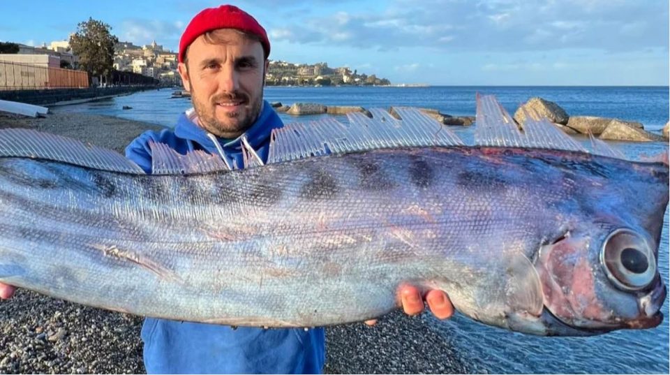 foto/-nje-peshk-i-rralle-kapet-ne-brigjet-e-sicilise-dhe-ngjall-interesin-e-shkences!-jeton-ne-thellesi-deri-ne-1-mije-metra-dhe…