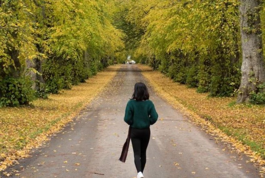 nje-shetitje-pas-ngrenies-mund-te-ndryshoje-menyren-se-si-truri-dhe-trupi-reagojne-ndaj-ushqimit