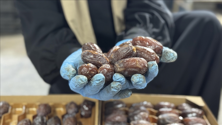 hurmat-izraelite-dyshohet-se-shiten-ne-tregun-evropian-me-etiketa-te-ndryshme