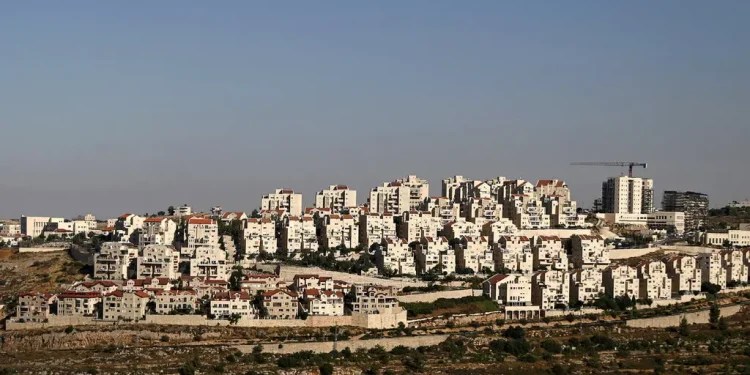 levizja-qe-demaskon-serish-hipokrizine-e-trump-ndaj-palestinezeve…