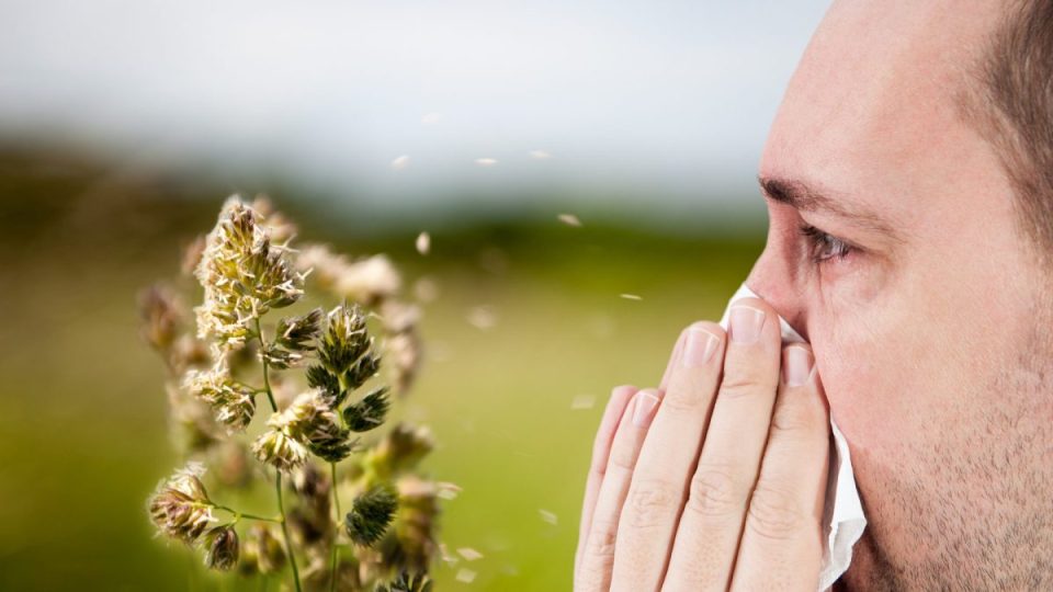 si-te-mbroheni-nga-poleni-dhe-alergjite-sezonale