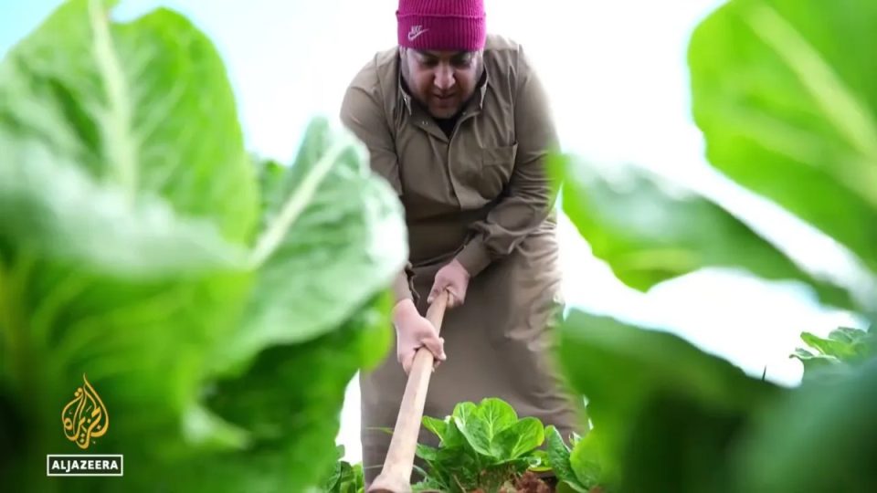 farat-tradicionale-ne-idlib-ndihmojne-familjet-e-zhvendosura-te-behen-te-veteqendrueshme