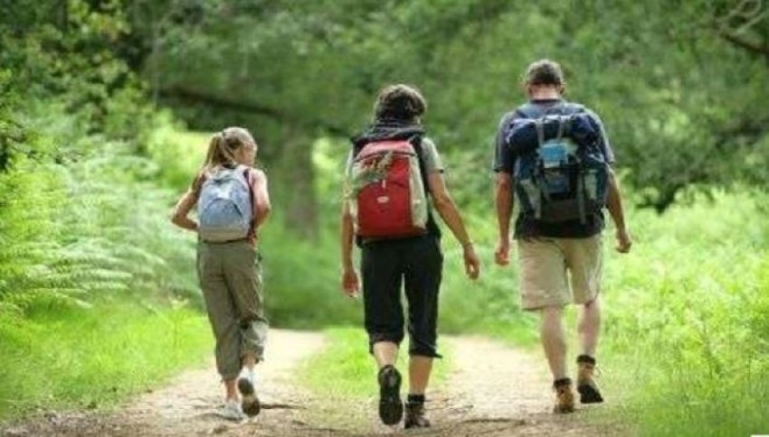 a-eshte-ecja-nje-forme-e-mjaftueshme-ushtrimi?-–-ja-cfare-thone-ekspertet