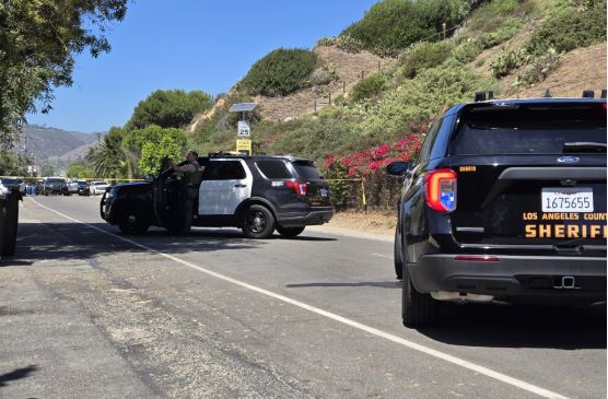 akuzohet-per-vjedhje-shtepie-ne-kaliforni,-arrestohet-aktori-i-njohur!