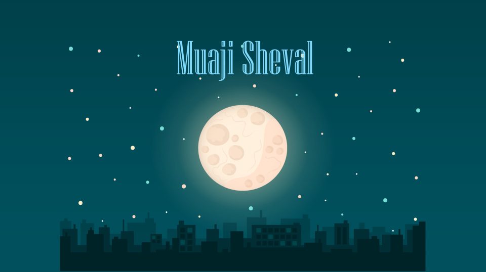 agjerimi-i-gjashte-diteve-te-shevalit