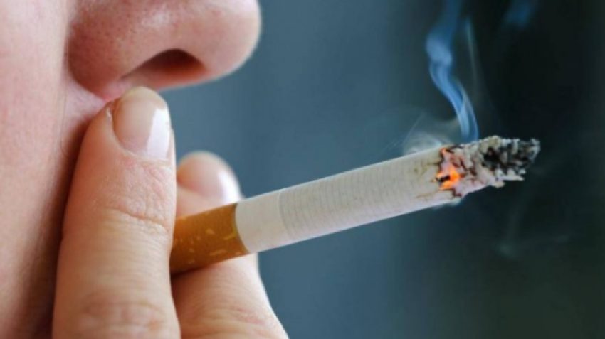 pervec-zemres-dhe-mushkerive,-cigarja-rrezikon-edhe-shikimin