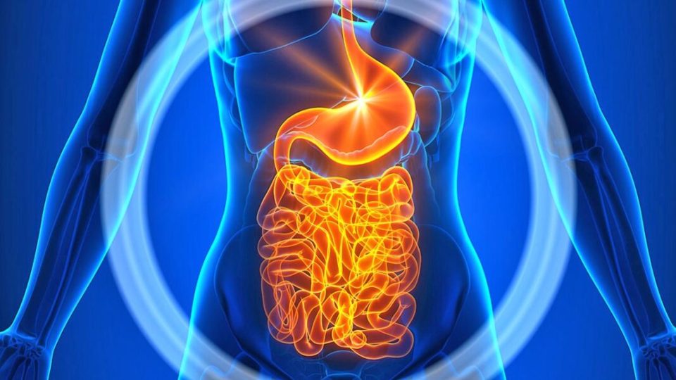 nje-zakon-i-mengjesit-eshte-celesi-nese-doni-te-shmangni-kapsllekun