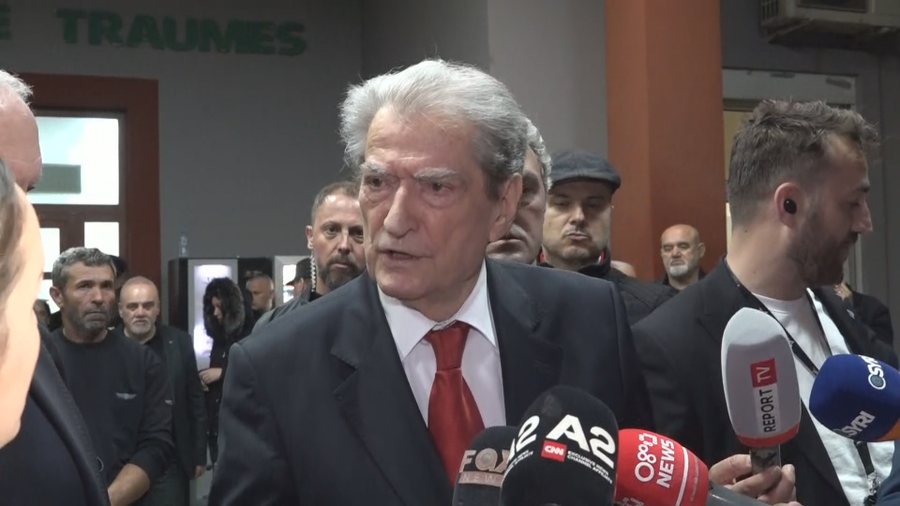 berisha,-ana-tjeter-e-te-quajturit-kafshe-politike