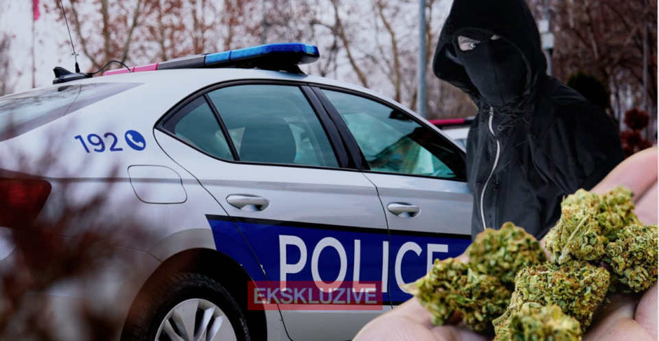 aksion-i-madh-antidroge-ne-prizren:-bastisen-dy-shtepi-–-zbulohet-rreth-1-kilogram marihuane-e-fshehur