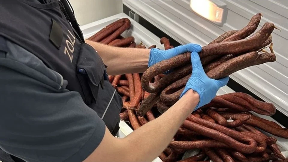 dogana-e-shtutgartit-konfiskon-250-kg-suxhuk-ne-autobusin-qe-vinte-nga-kosova