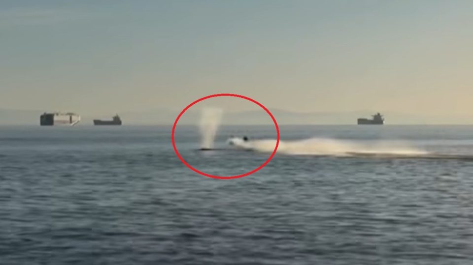 e-pazakonte,-jet-ski-perplaset-me-nje-balene-gri-ne-vankuver,-plagoset-drejtuesi-(video)