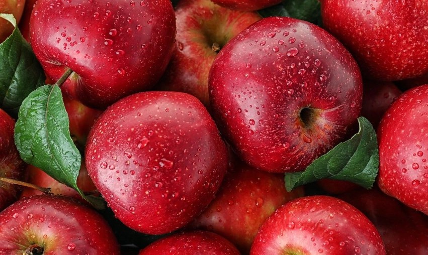 molla,-fruti-qe-ndihmon-shendetin-ne-shume-menyra