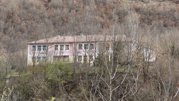 kriza-demografike-godet-shkollat:-shqiperia-humb-mbi-10-mije-nxenes-ne-nje-vit,-“zhduken”-rreth-400-klasa