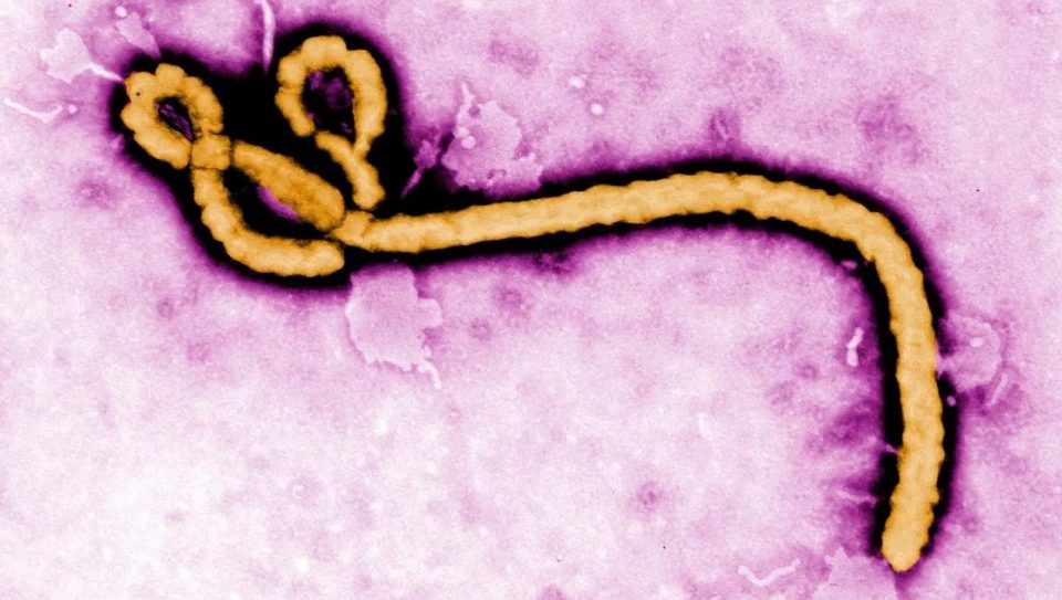 shba-planifikon-hapjen-e-nje-qendre-karantinimi-prej-virusit-ebola-ne-kenia