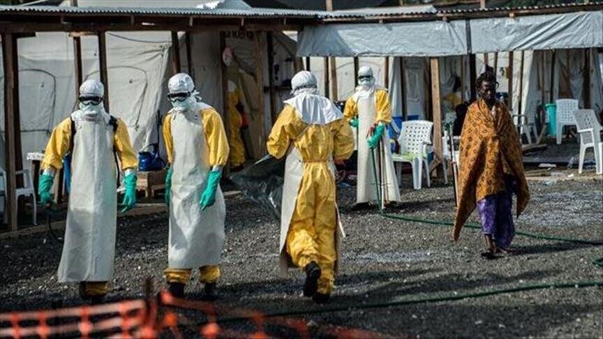 india-ne-alarm-per-ebola-pas-rasteve-te-dyshuara-qe-nxiten-mbikeqyrje-shendetesore