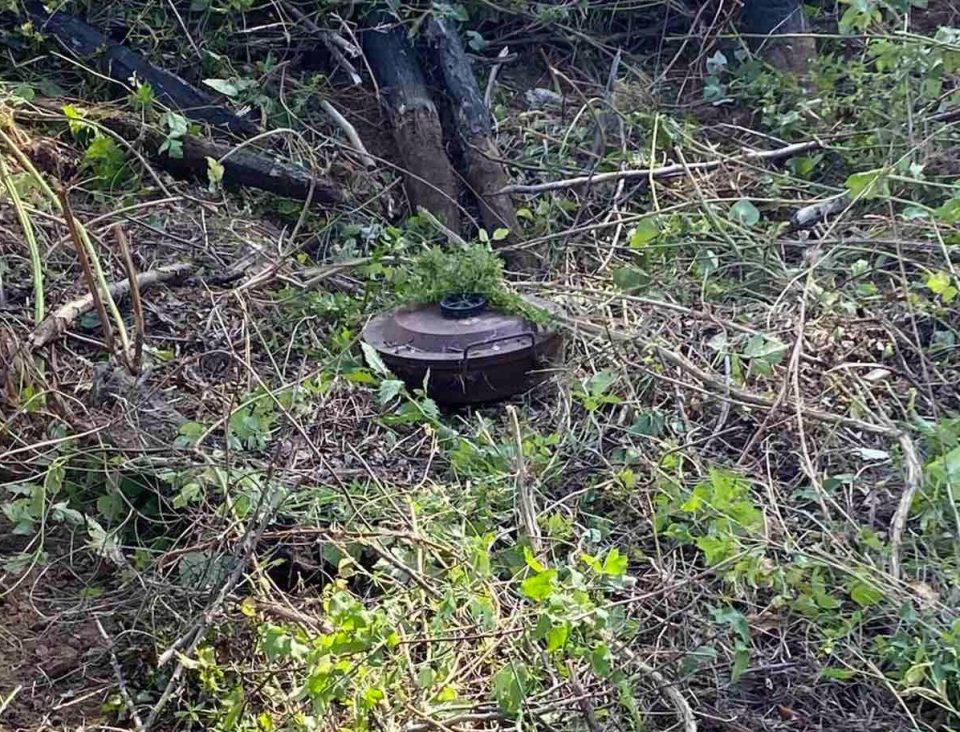 alarm-ne-kufirin-kosove–shqiperi:-policia-gjen-mjet-te-dyshuar-shperthyes-ne-goden-te-gjakoves