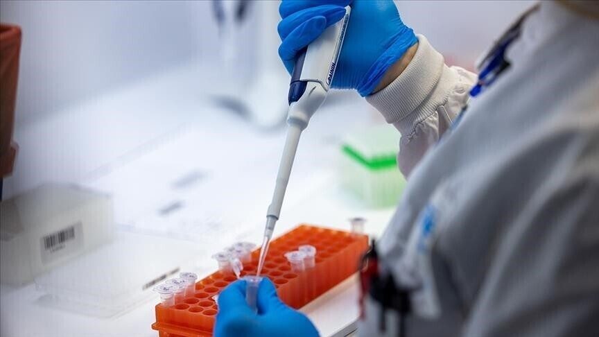 shperthimi-i-denges-ne-sri-lanka-arrin-nivel-epidemie-pasi-rastet-kalojne-50.000