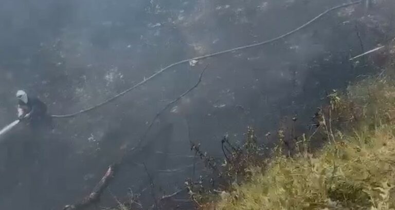 zjarr-ne-vlore,-digjet-siperfaqe-me-bimesi-–-dyshohet-per-zjarrvenie-te-qellimshme