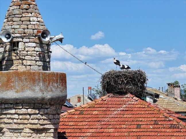 xhamia-661-vjecare-ne-konya-terheq-vemendjen-me-punimin-e-saj-prej-druri