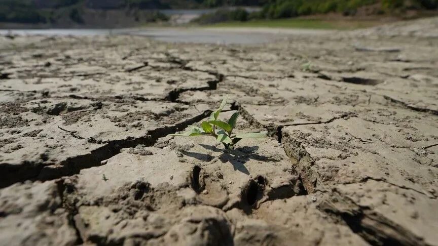 vanuatu-shpall-thatesire-ne-zonat-veriore-ndersa-el-nino-sjell-mot-te-thate
