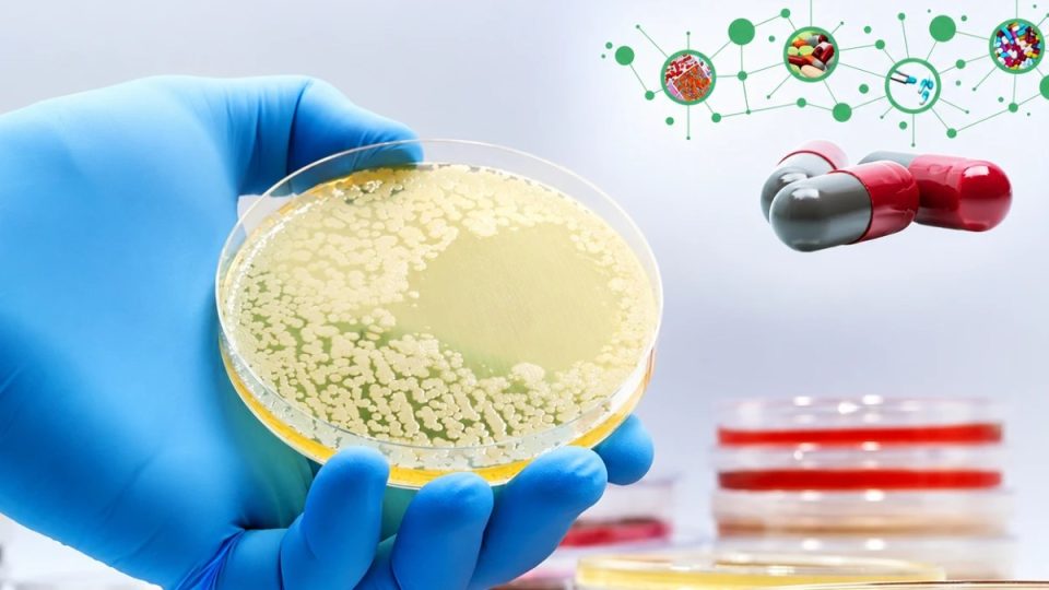 pse-jo-cdo-antibiotik-eshte-zgjedhja-e-duhur:-cfare-tregon-antibiogrami-dhe-pse-eshte-kaq-i-rendesishem