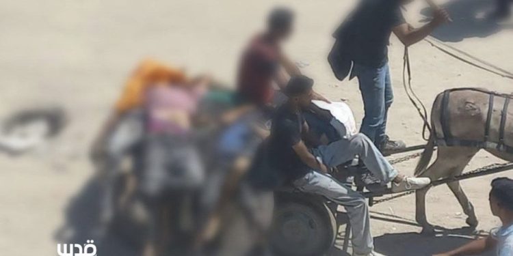horrori-ne-gaza-nen-marreveshjeje-paqeje