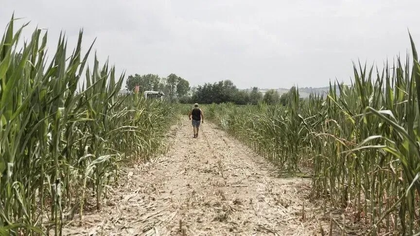 agjencia-e-okb-se:-el-nino-mund-te-shtyje-49-milione-njerez-te-tjere-ne-uri-akute-deri-ne-fund-te-vitit-2027