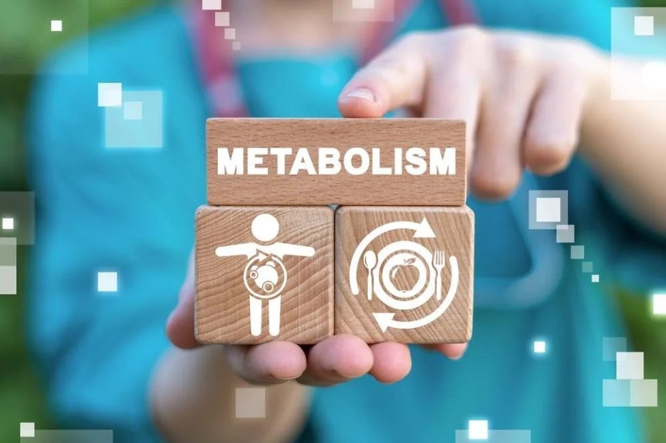ndryshime-te-vogla-pas-ores-17:00-qe-mund-te-kene-ndikim-te-madh-ne-metabolizem