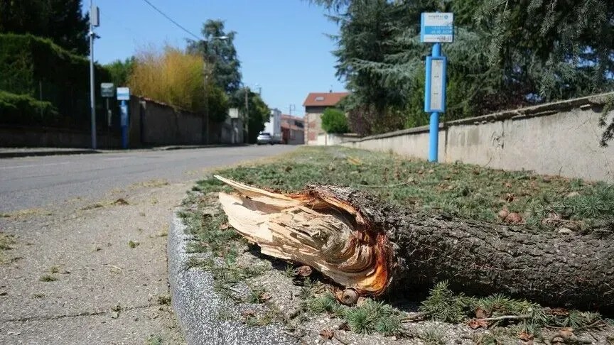 franca-vendos-12-departamente-ne-alarm-portokalli-per-stuhi