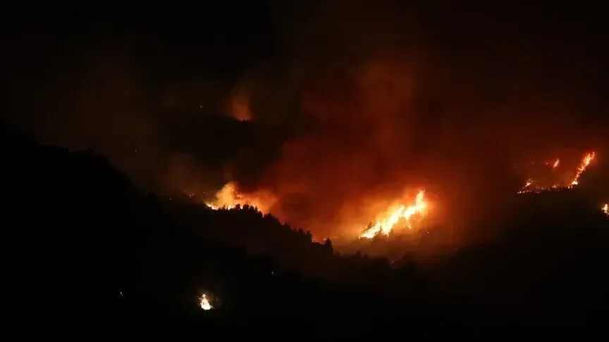 turqia-shpreh-ngushellime-per-viktimat-ne-algjeri-pas-zjarreve-vdekjeprurese