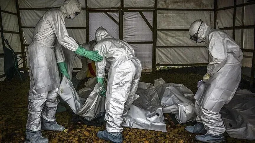 rritet-ne-mbi-2.800-numri-i-te-vdekurve-nga-ebola-ne-rd-te-kongos